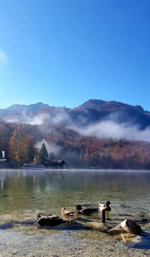 Apartments Bohinjc Εξωτερικό φωτογραφία