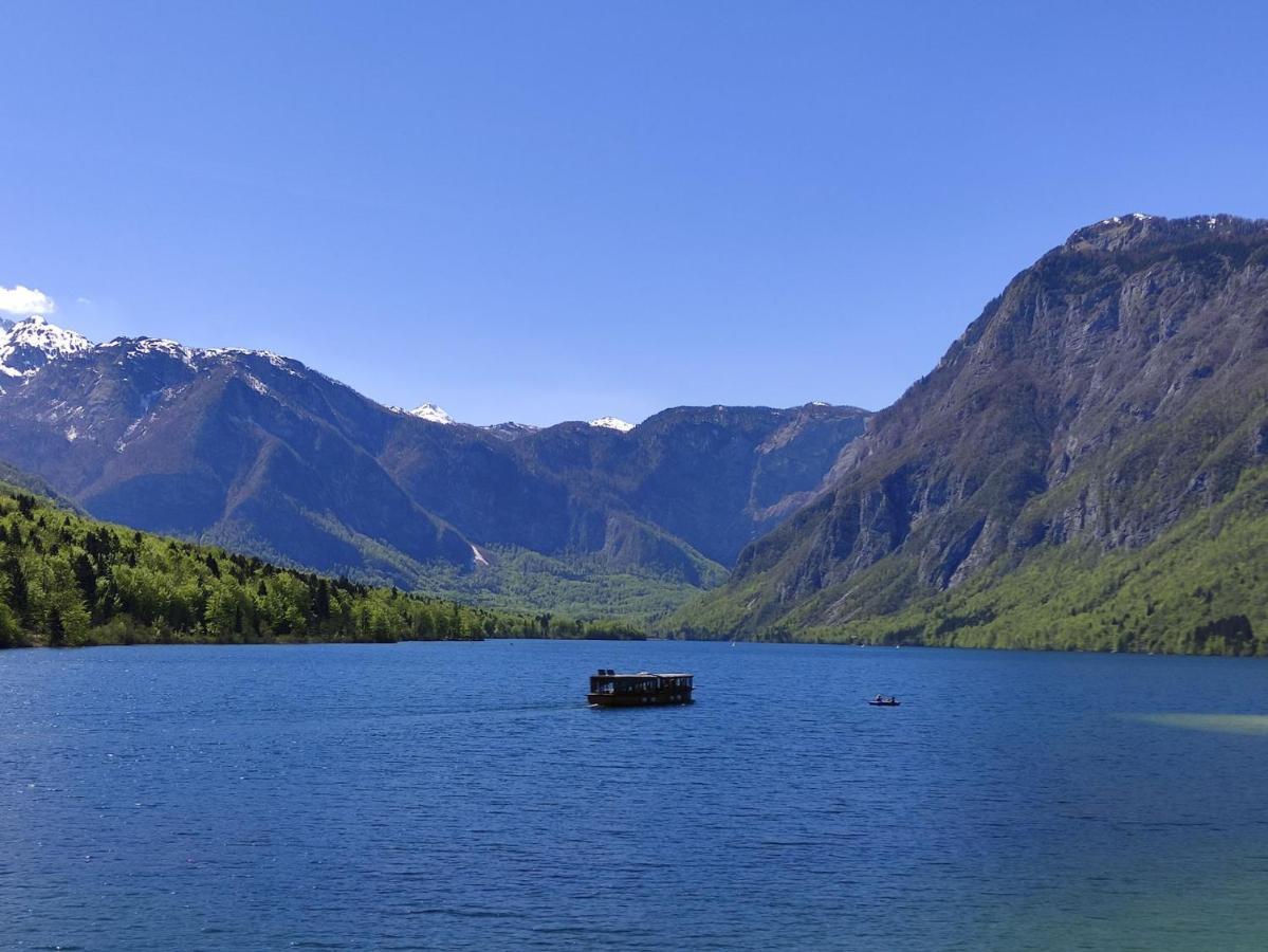 Apartments Bohinjc Εξωτερικό φωτογραφία